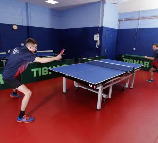 Taraflex Table Tennis