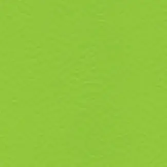Spring 6559