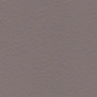 Taupe 3764
