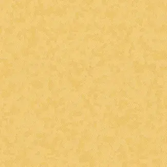 PREMIUM - 4384 OSMOZ Barbadine