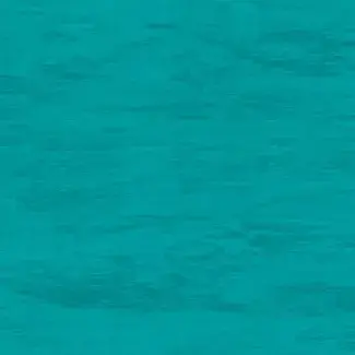 Coloris 2025 - scanmobile