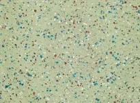 7513 Seagrass Small Opti