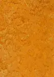 Linodur Sport Peach Orange