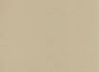 Beige 6347