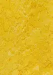 Linodur Sport Straw Yellow